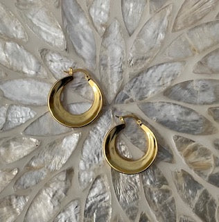 Golden Hoop Earrings